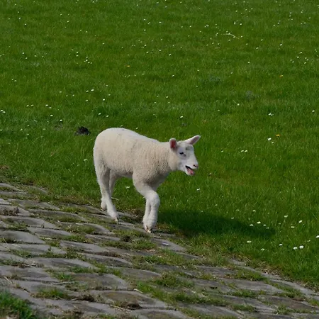 Lägenhet Landliebe *